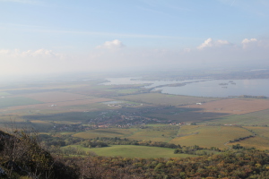 palava-musov